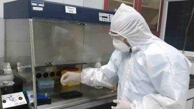 آزمایشگاه تشخیص کرونا در کاشمر راه‌اندازی شد - خبرگزاری مهر | اخبار ایران و جهان