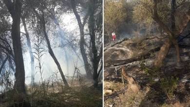قصه تکراری در نوروز هر سال؛ جنگل گلوبردکان دچار آتش‌سوزی شد - خبرگزاری مهر | اخبار ایران و جهان