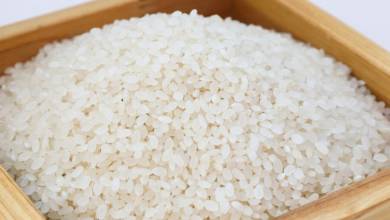 «فقط ۱۵ میلیون ایرانی راحت برنج می‌خرند»