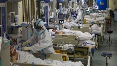 بستری ۷۷ بیمار جدید در بخش مراقبت‌های ویژه بیمارستان‌های کاشان - خبرگزاری مهر | اخبار ایران و جهان