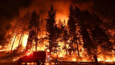 گرمایش زمین، عامل اصلی آتش‌سوزی‌های غرب آمریکا بوده است