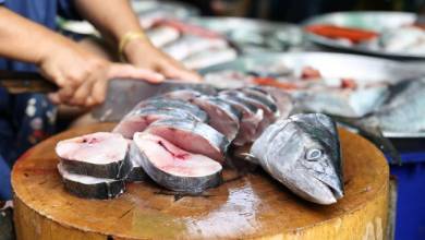 ممنوعیت صید ماهی شیر از ۲۵مرداد تا ۲۵ مهر در استان