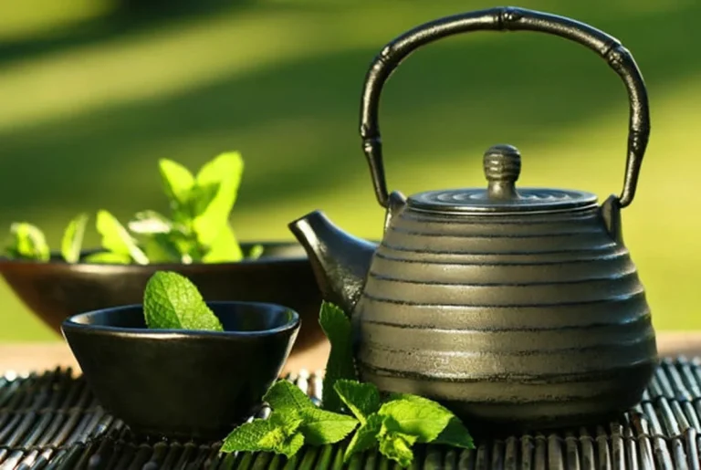 دمنوشات گیاهی برای بهبود گوارش