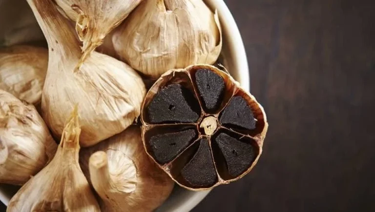سیر سیاه گذشته، حال و آینده