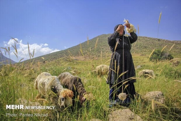 «قوز» جریمه بانکی عشایر  «بالای قوز» خشکسالی