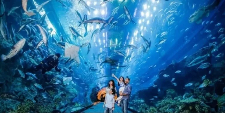 جاهای دیدنی دبی در تابستان