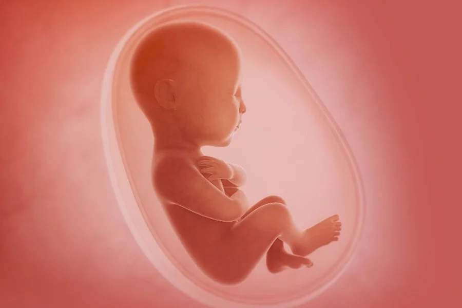 Fetal-bpd-table-and-growth-process-review-1