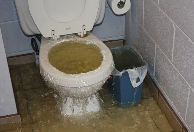 Unclogging the toilet with acid