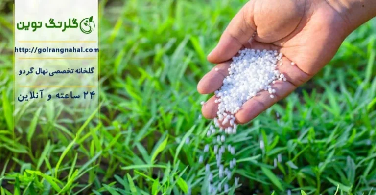 زمان مصرف کود پتاس برای گردو